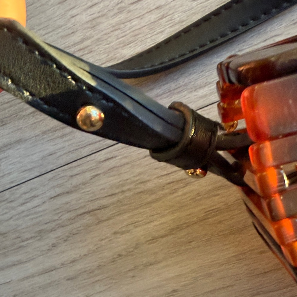 Source Unknown Tortoiseshell Crossbody Bag with B… - image 9